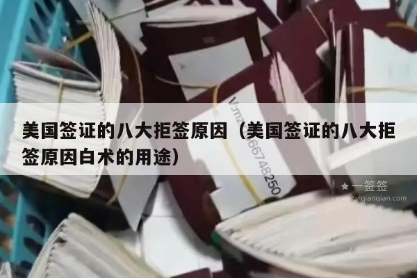 美国签证的八大拒签原因(美国签证的八大拒签原因白术的用途)
