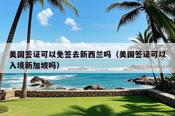 美国签证可以免签去新西兰吗(美国签证可以入境新加坡吗)