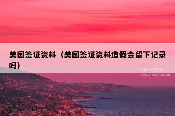 美国签证资料(美国签证资料造假会留下记录吗)