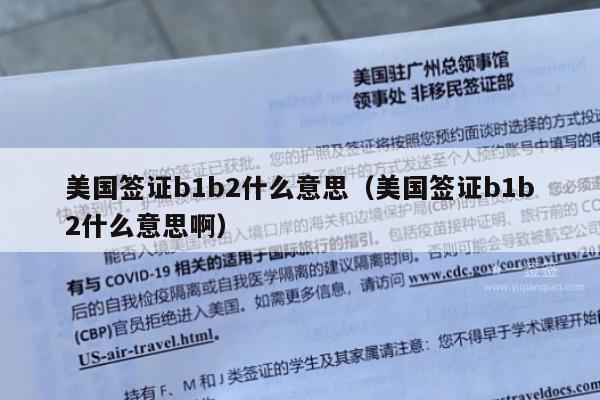 美国签证b1b2什么意思(美国签证b1b2什么意思啊)