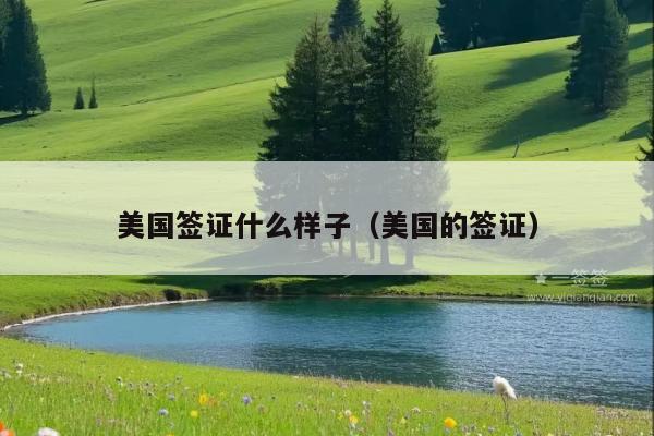 美国签证什么样子(美国的签证)