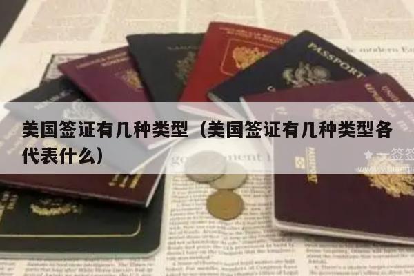 美国签证有几种类型(美国签证有几种类型各代表什么)