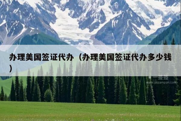 办理美国签证代办(办理美国签证代办多少钱)