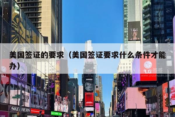 美国签证的要求(美国签证要求什么条件才能办)