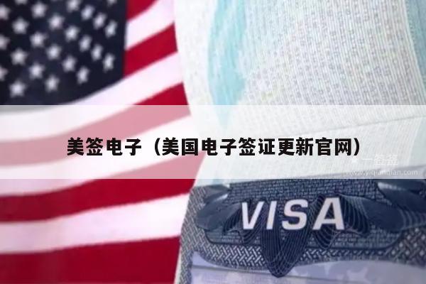 美签电子(美国电子签证更新官网)
