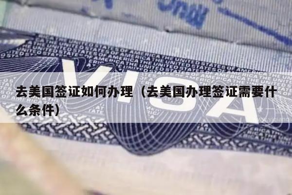 去美国签证如何办理(去美国办理签证需要什么条件)
