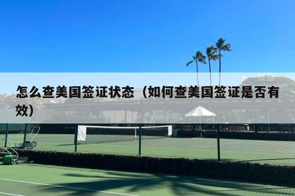 怎么查美国签证状态(如何查美国签证是否有效)