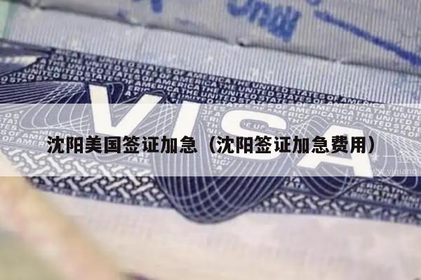 沈阳美国签证加急(沈阳签证加急费用)