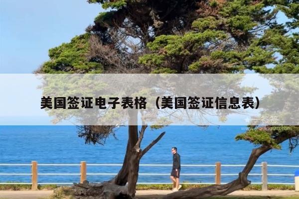 美国签证电子表格(美国签证信息表)
