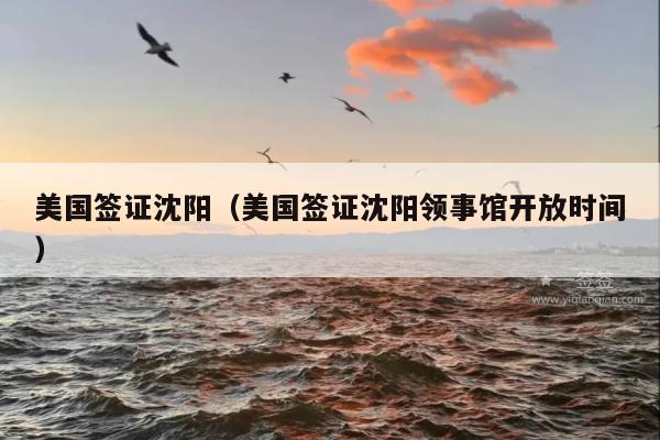 美国签证沈阳(美国签证沈阳领事馆开放时间)