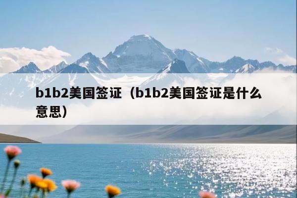 b1b2美国签证(b1b2美国签证是什么意思)