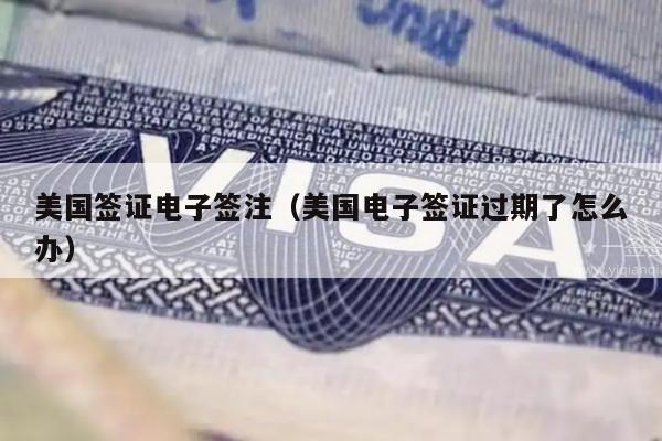 美国签证电子签注(美国电子签证过期了怎么办)
