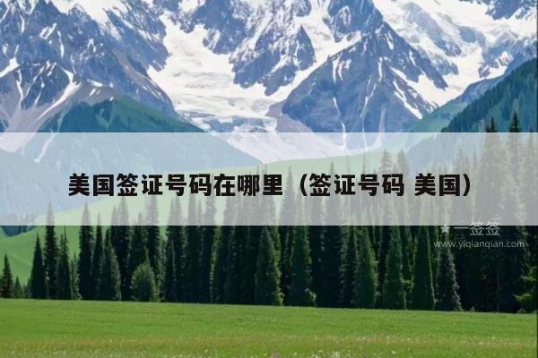 美国签证号码在哪里(签证号码 美国)