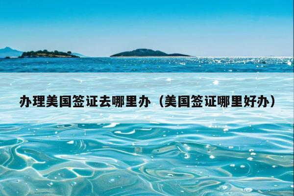 办理美国签证去哪里办(美国签证哪里好办)