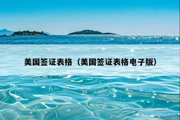 美国签证表格(美国签证表格电子版)