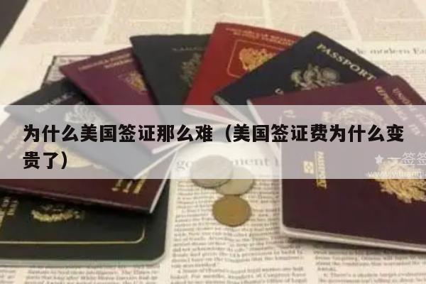 为什么美国签证那么难(美国签证费为什么变贵了)