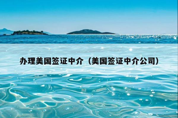 办理美国签证中介(美国签证中介公司)