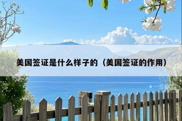 美国签证是什么样子的(美国签证的作用)