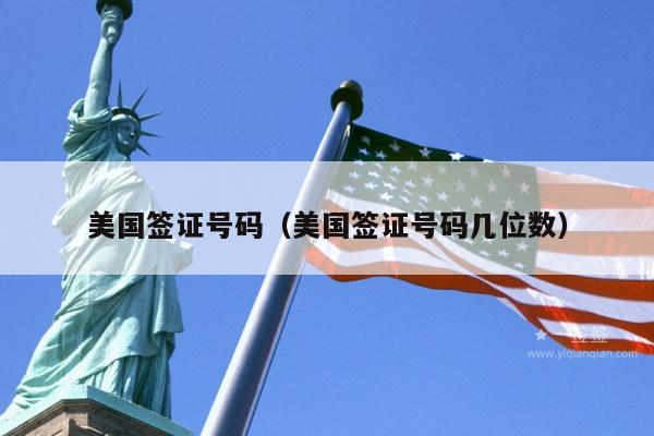 美国签证号码(美国签证号码几位数)