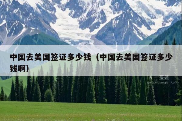 中国去美国签证多少钱(中国去美国签证多少钱啊)