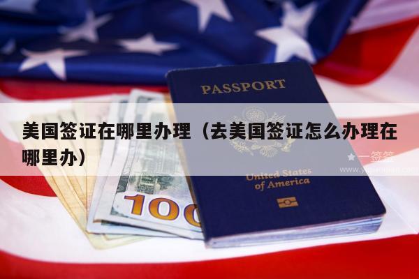 美国签证在哪里办理(去美国签证怎么办理在哪里办)