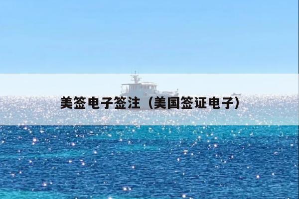 美签电子签注(美国签证电子)