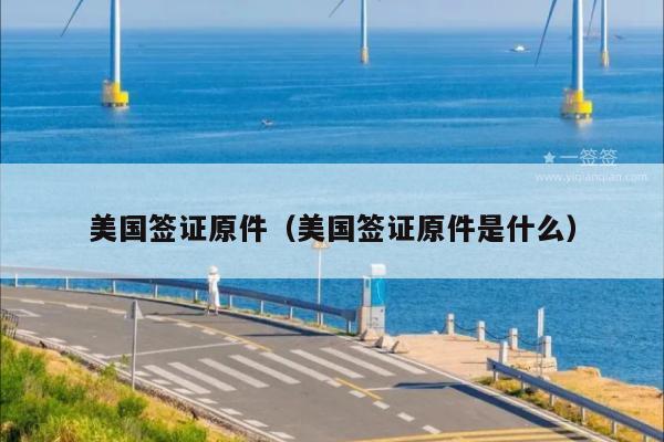美国签证原件(美国签证原件是什么)