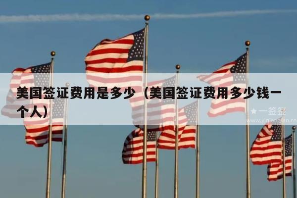 美国签证费用是多少(美国签证费用多少钱一个人)