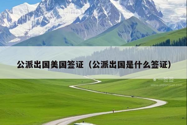 公派出国美国签证(公派出国是什么签证)