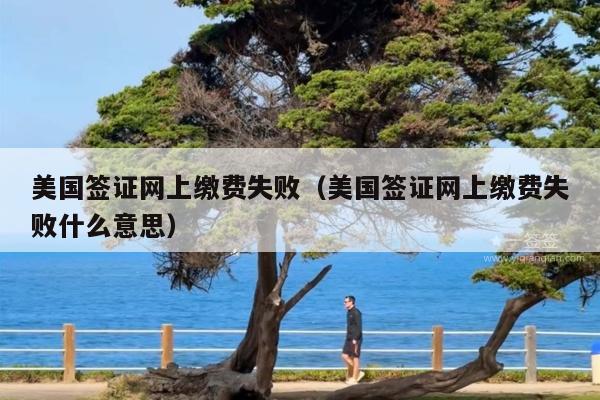 美国签证网上缴费失败(美国签证网上缴费失败什么意思)