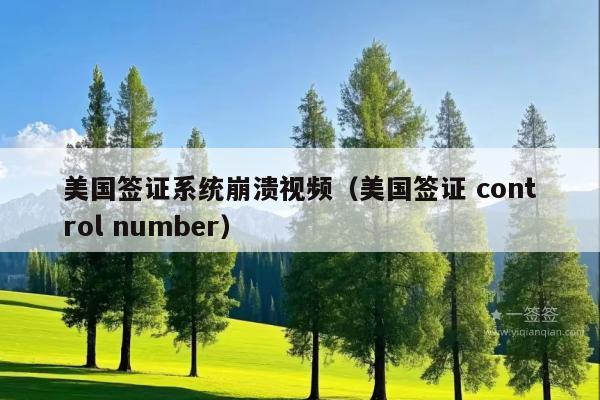 美国签证系统崩溃视频(美国签证 control number)
