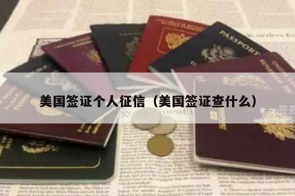 美国签证个人征信(美国签证查什么)