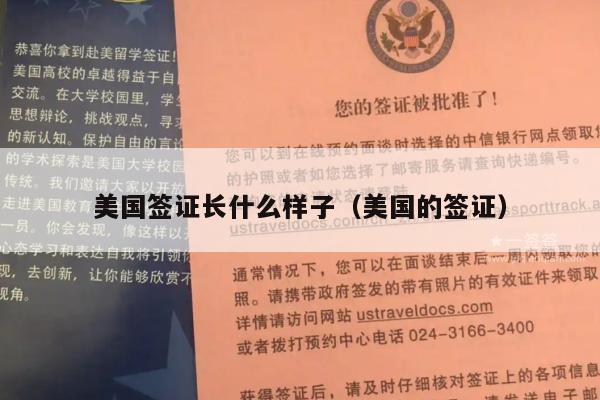 美国签证长什么样子(美国的签证)