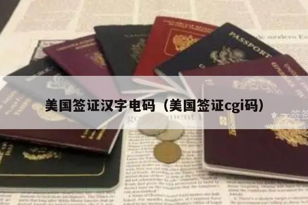 美国签证汉字电码(美国签证cgi码)