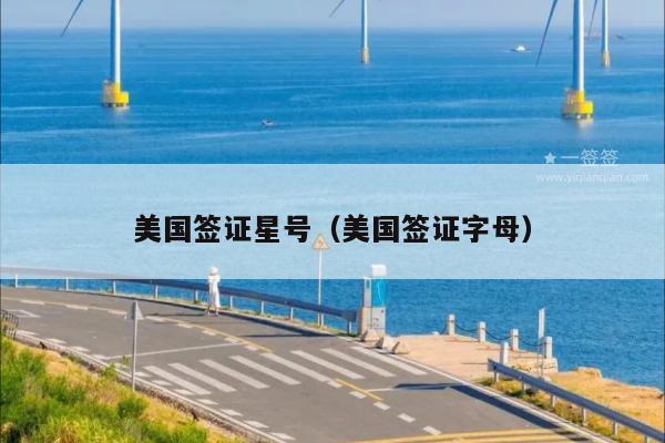 美国签证星号(美国签证字母)