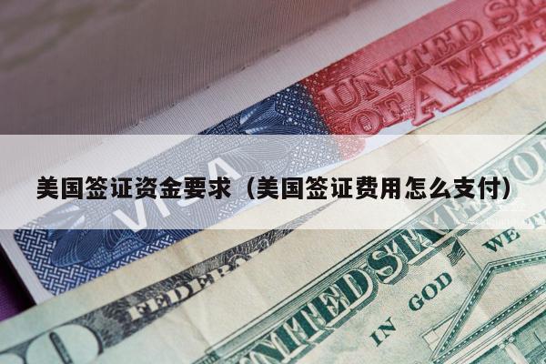 美国签证资金要求(美国签证费用怎么支付)