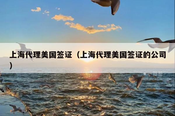 上海代理美国签证(上海代理美国签证的公司)