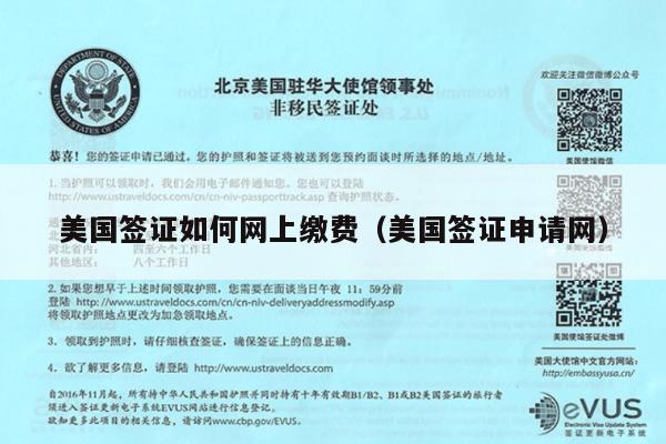 美国签证如何网上缴费(美国签证申请网)