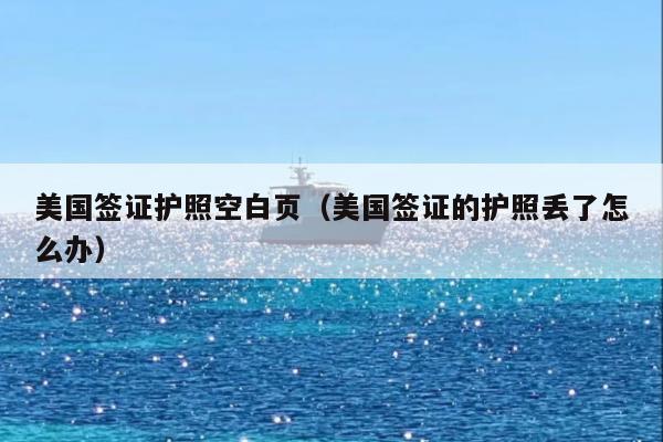 美国签证护照空白页(美国签证的护照丢了怎么办)