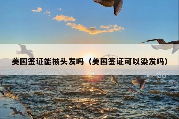 美国签证能披头发吗(美国签证可以染发吗)