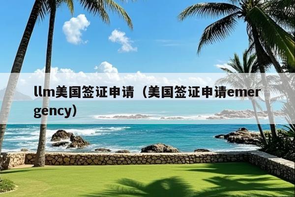 llm美国签证申请(美国签证申请emergency)