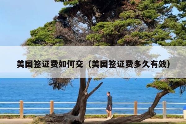 美国签证费如何交(美国签证费多久有效)