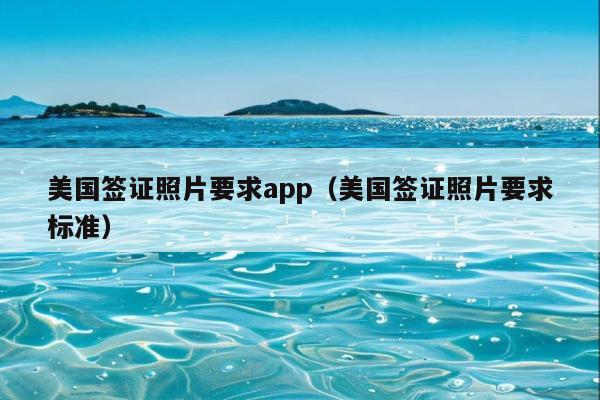 美国签证照片要求app(美国签证照片要求标准)
