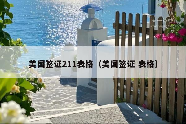 美国签证211表格(美国签证 表格)