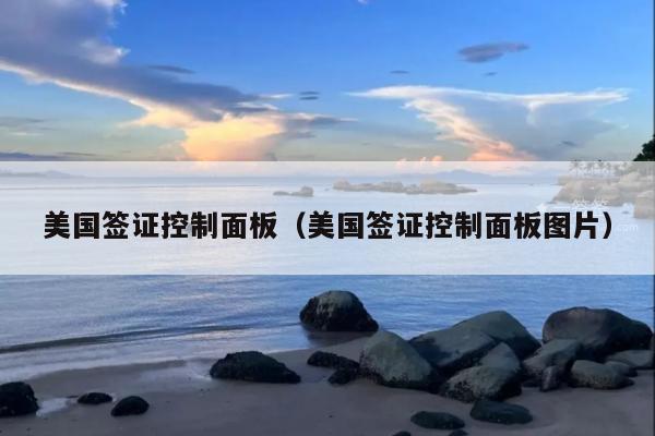 美国签证控制面板(美国签证控制面板图片)