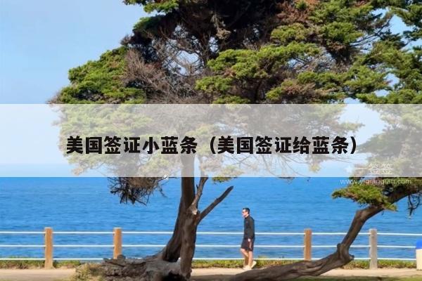美国签证小蓝条(美国签证给蓝条)