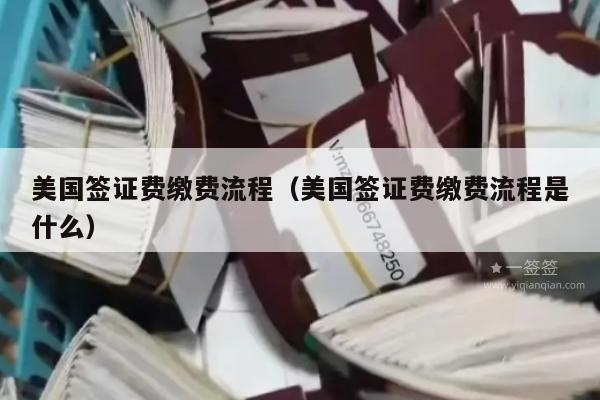 美国签证费缴费流程(美国签证费缴费流程是什么)