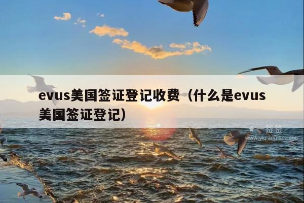 evus美国签证登记收费(什么是evus美国签证登记)