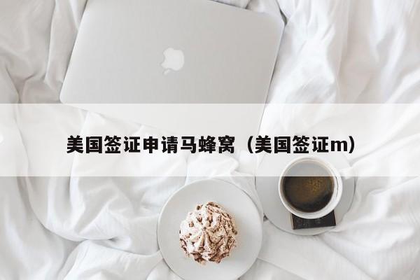 美国签证申请马蜂窝(美国签证m)