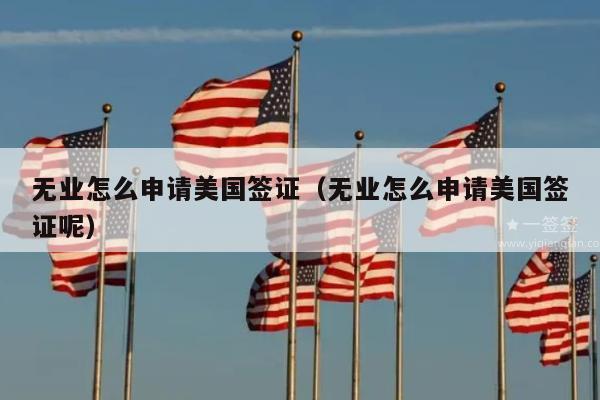 无业怎么申请美国签证(无业怎么申请美国签证呢)